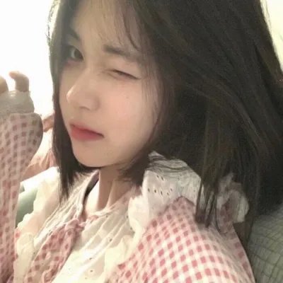 年度鸟事